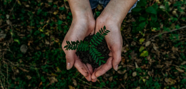 Afbeelding van Handreiking Aanpak Duurzaam GWW voor gemeenten